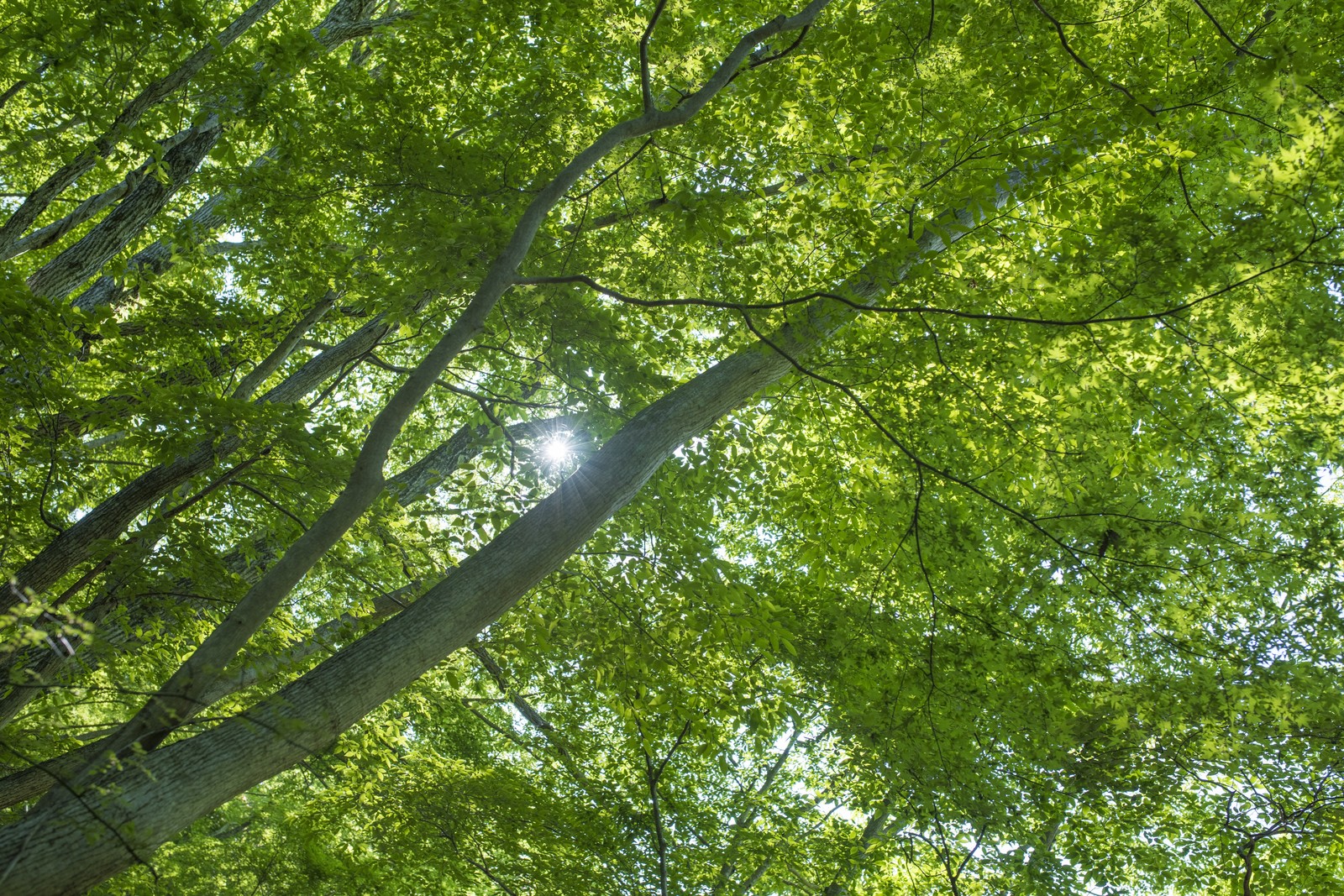 京都府木津川市20代女性マイカー日産ノートで運転講習★駐車練習