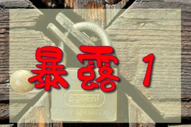 ペーパードライバー教習必要性を気付いて暴露シリーズ【第一話】